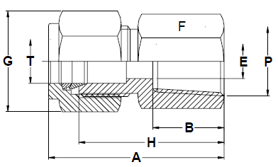 Stainless Steel Female Connectors R 