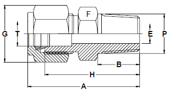 Stainless Steel Male connectors R